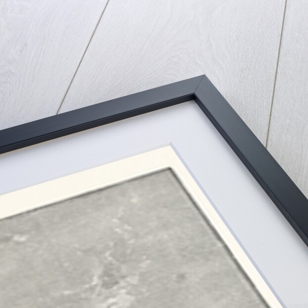 Fountain Near Jaffa by Anonymous