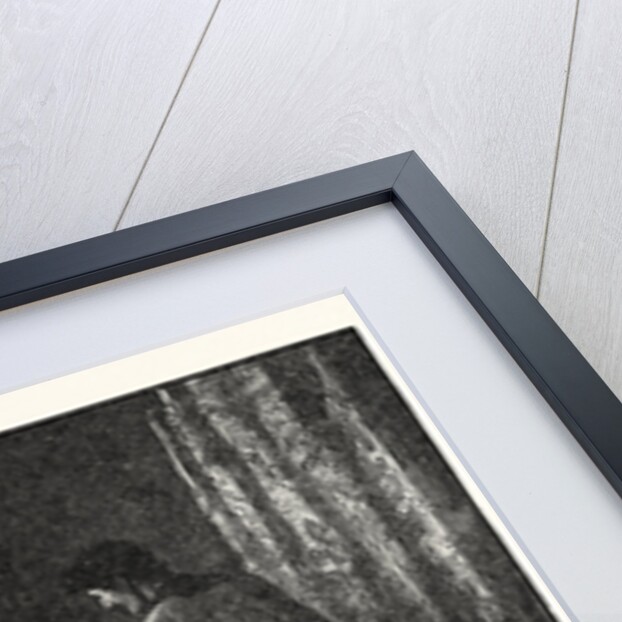 Robert Bruce's Last Orders to Douglas by Anonymous