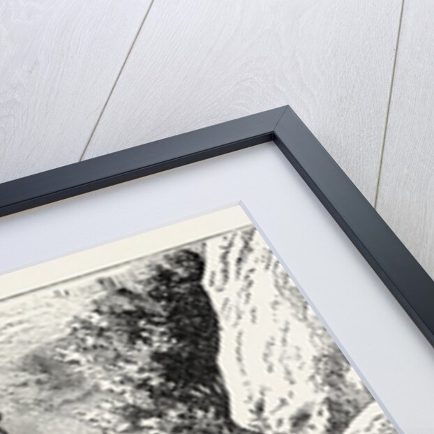 The Ancient Greeks. by Anonymous