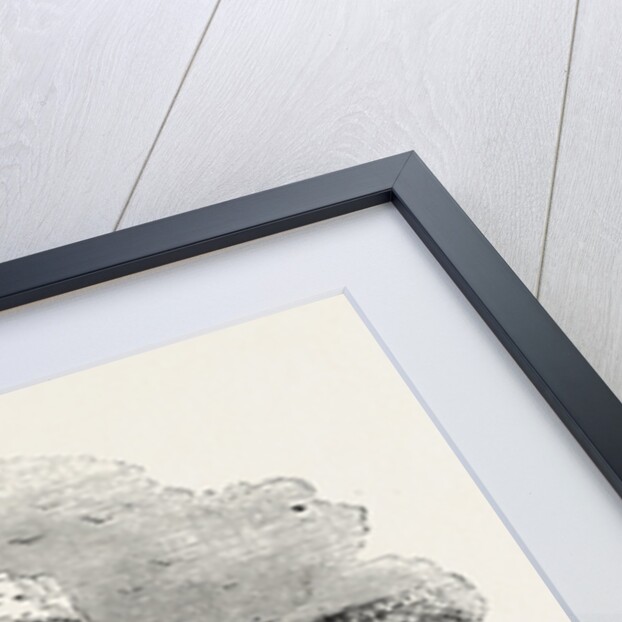 Roman Masonry Remains of Fortress Walls in Britain. by Anonymous