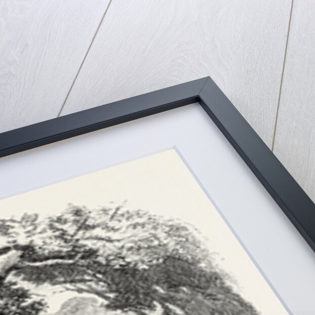 Aboriginal Inhabitants of Britain by Anonymous