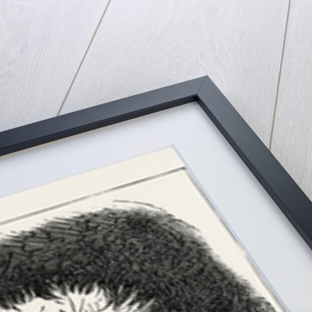 The God Thor. by Anonymous