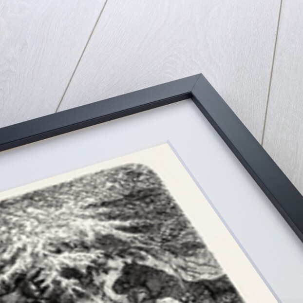 An Anglo-Saxon Chief and His Warriors. by Anonymous