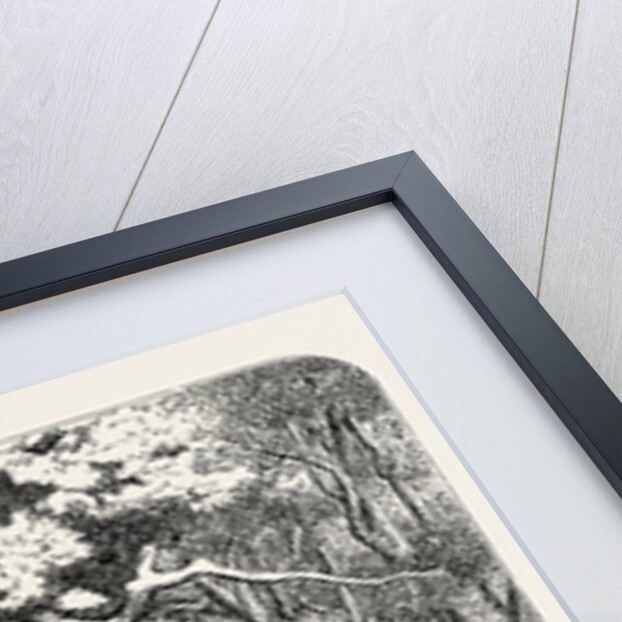 William's Corpse Borne to Its Burial by Anonymous