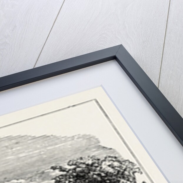 Runnymede by Anonymous