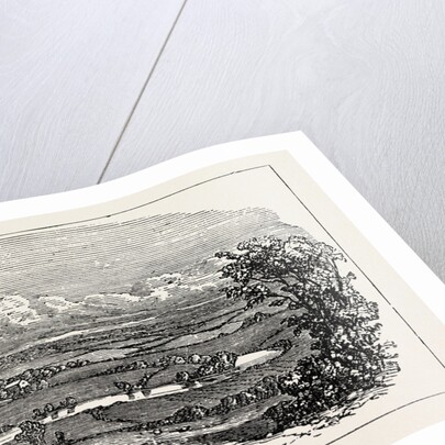 Runnymede by Anonymous