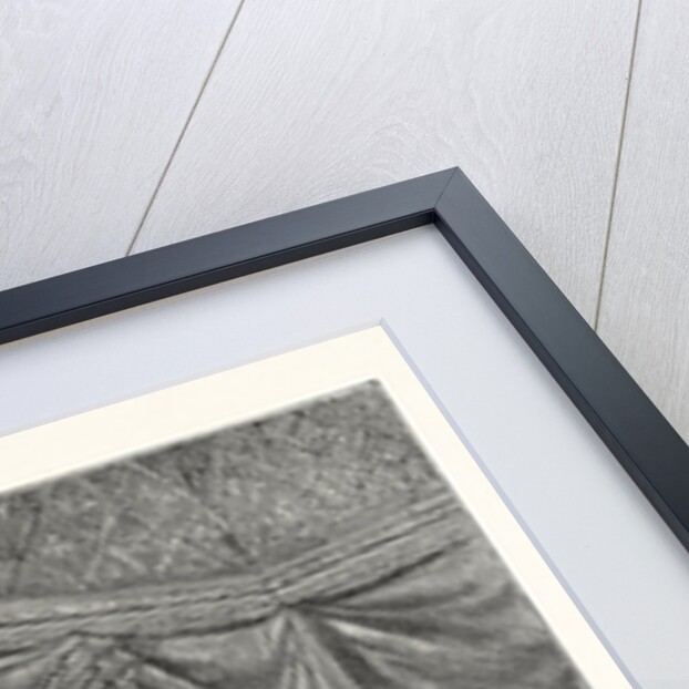 The Barons and Prelates Before King John at Westminster Hall by Anonymous