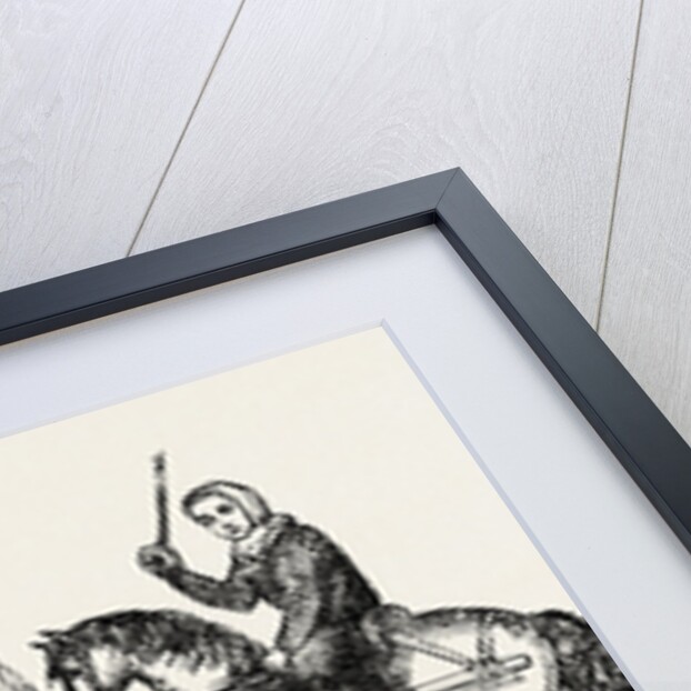 Queen Isabella Travelling in a Litter. From an Old Ms. by Anonymous