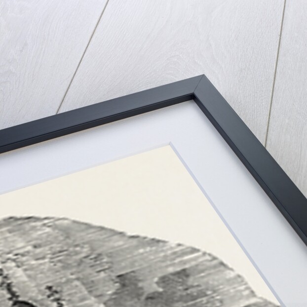 Procession Quitting the Tower London by Anonymous