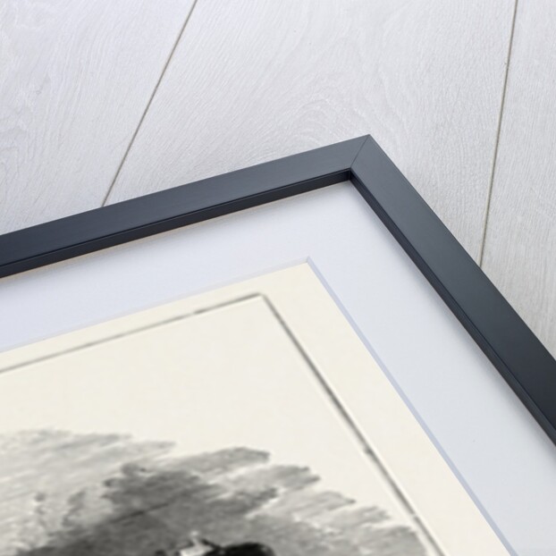 Rouen Castle. by Anonymous