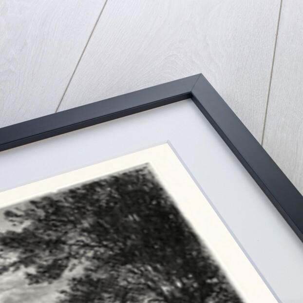 The Edinburgh Academy by Anonymous