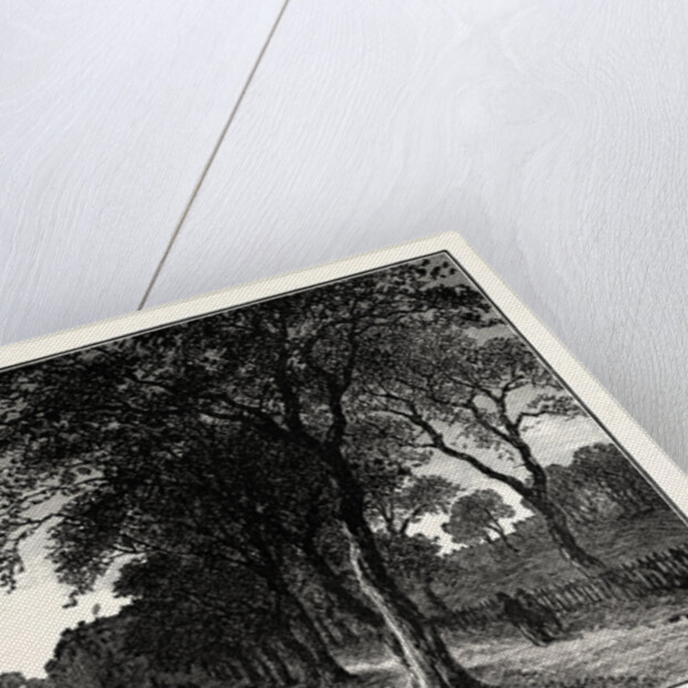 Edinburgh: The Avenue Bruntsfield Links. by Anonymous