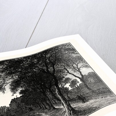 Edinburgh: The Avenue Bruntsfield Links. by Anonymous