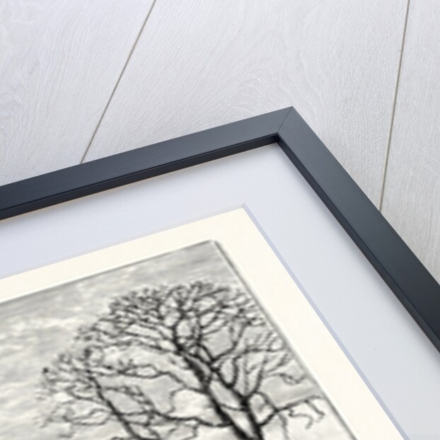 Edinburgh: Niddrie House by Anonymous