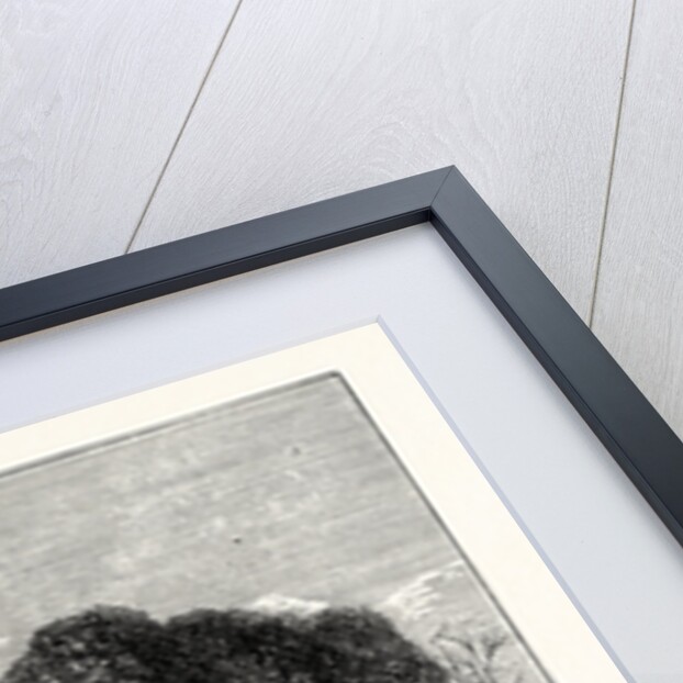 Edinburgh: Lennox Tower by Anonymous