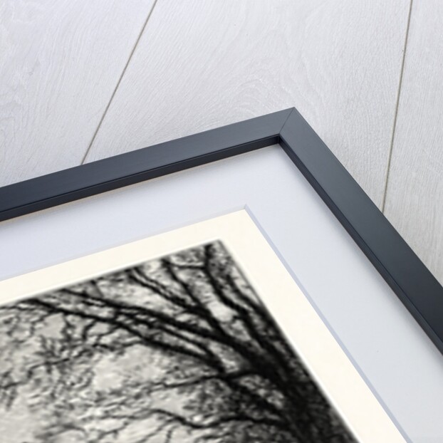 Edinburgh: Inch House by Anonymous