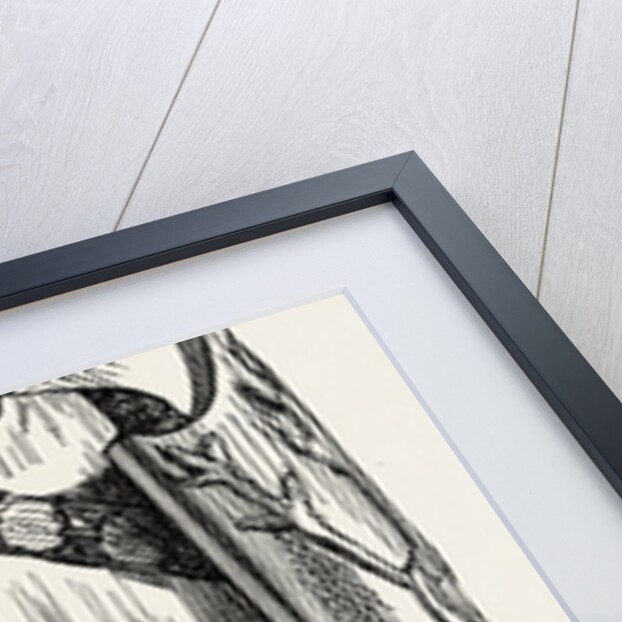 A Knight Templar by Anonymous