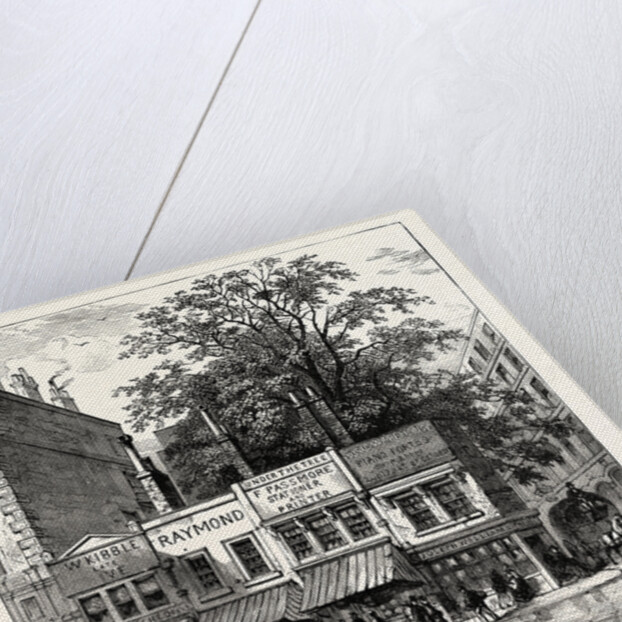 The Tree at the Corner of Wood Street 1870 London by Anonymous