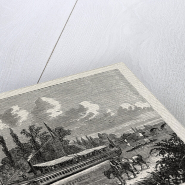 The Maria Wood 1876 by Anonymous