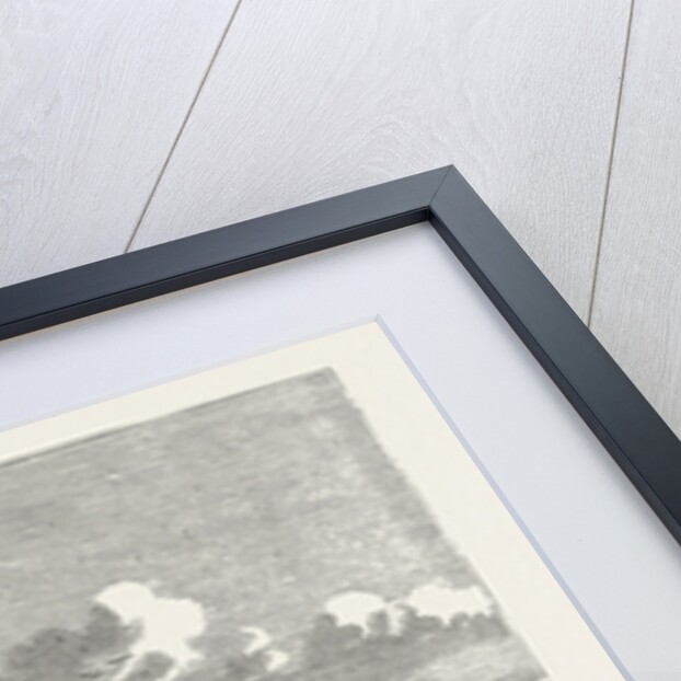 The Maria Wood 1876 by Anonymous