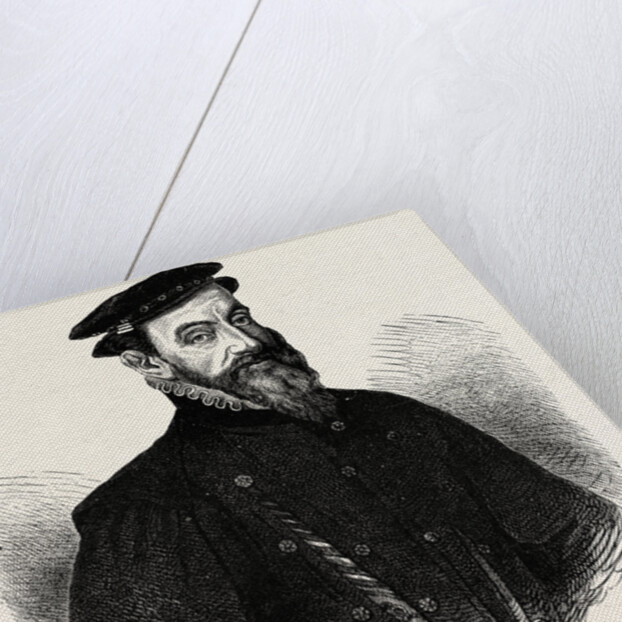 Sir Thomas Gresham by Anonymous