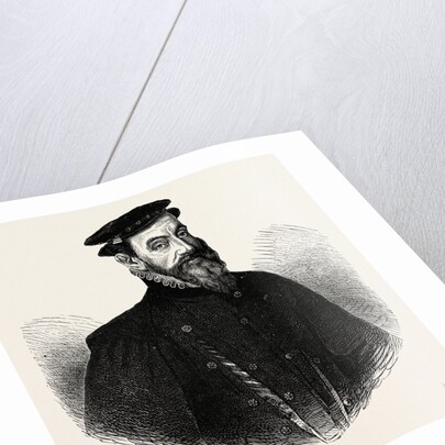 Sir Thomas Gresham by Anonymous