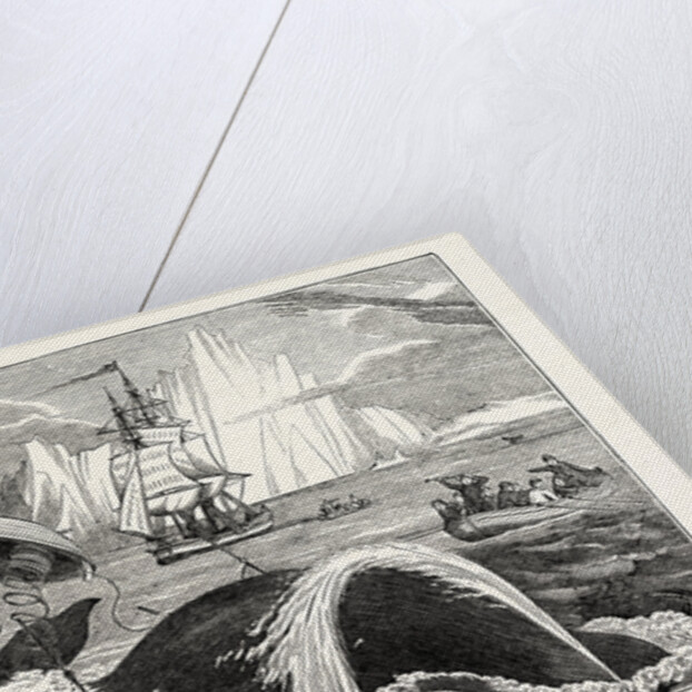 Dangers of the Whale Fishery by Anonymous