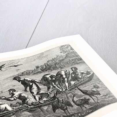 The Miraculous Draught of Fishes by Anonymous
