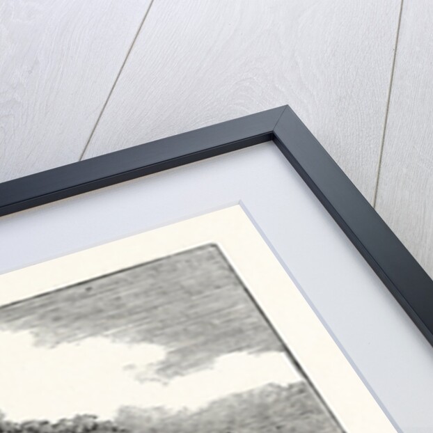 Magna Charta Island by Anonymous