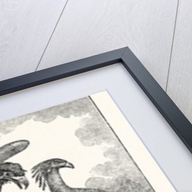 The Secretary Bird by Anonymous