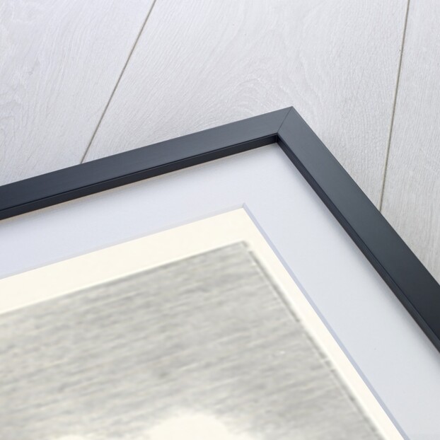 West Front of Strasburg Cathedral by Anonymous