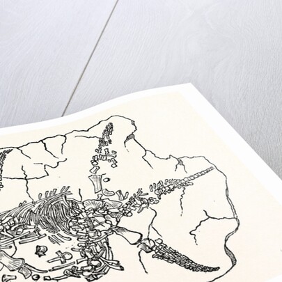 Skeleton of the Plesiosaurus Dolichodeirus in the Position in which It Was Found at Lyme Regis by Anonymous