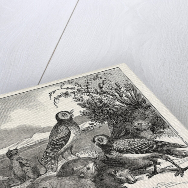 Burrowing-Owls and Prairie-Dogs by Anonymous