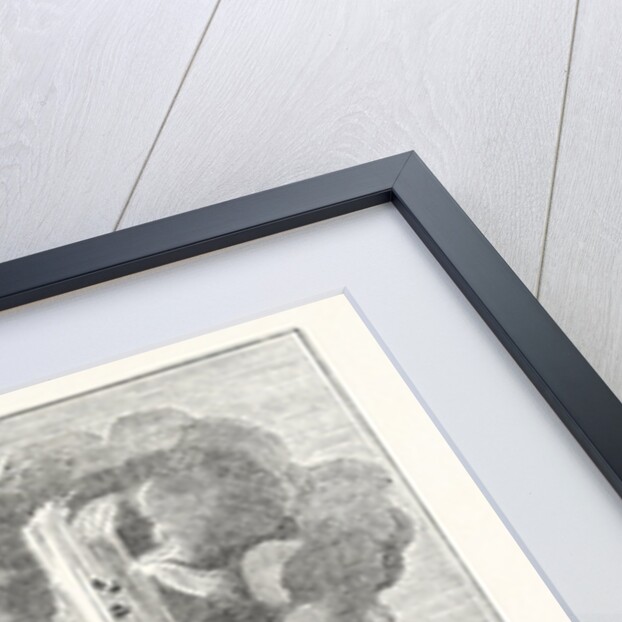 Iceland: View of a Geyser or Hot Fountain by Anonymous