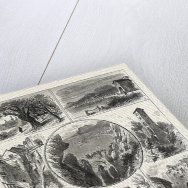 Views Mentone and Surrounding District by Anonymous