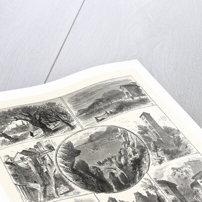 Views Mentone and Surrounding District by Anonymous