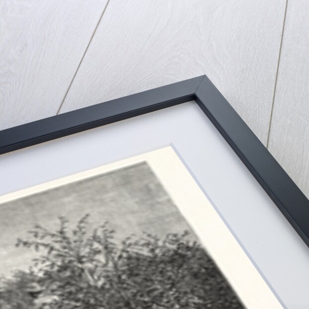 Coffee Costa Rica by Anonymous