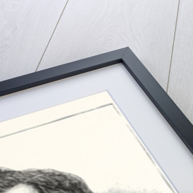 Late General Albert J. Myer by Anonymous