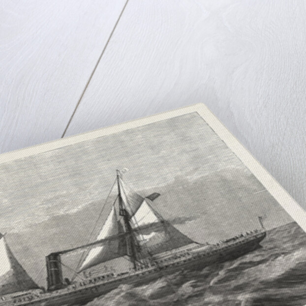 New Steam-Ship Newport, Ward's Havana Line by Anonymous