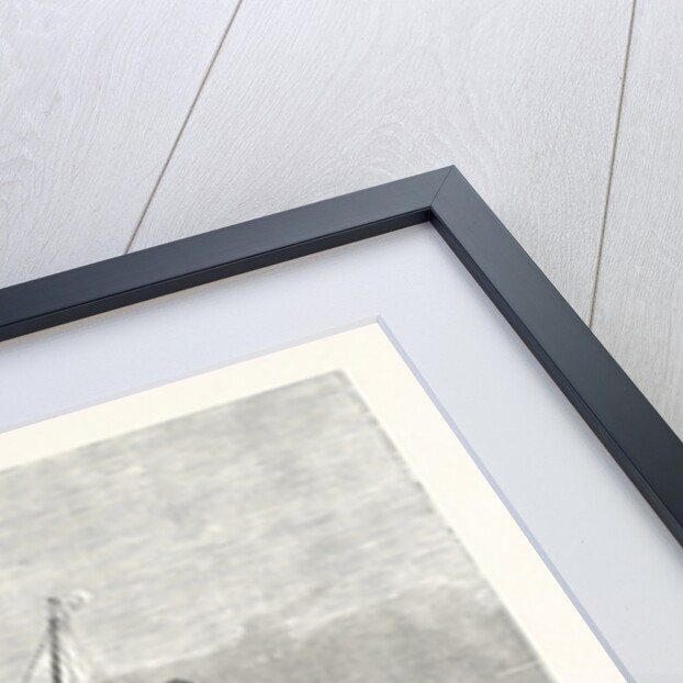 New Steam-Ship Newport, Ward's Havana Line by Anonymous