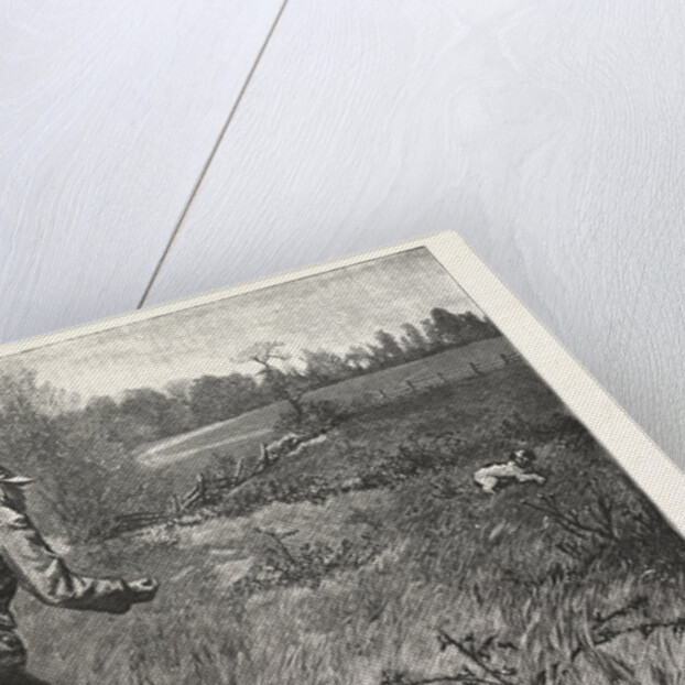 Gun Shy Drawn A. B. Frost by Anonymous