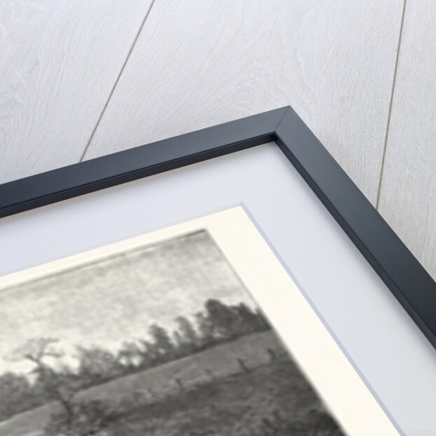 Gun Shy Drawn A. B. Frost by Anonymous