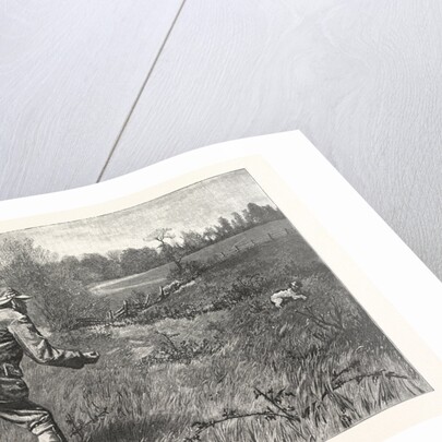 Gun Shy Drawn A. B. Frost by Anonymous