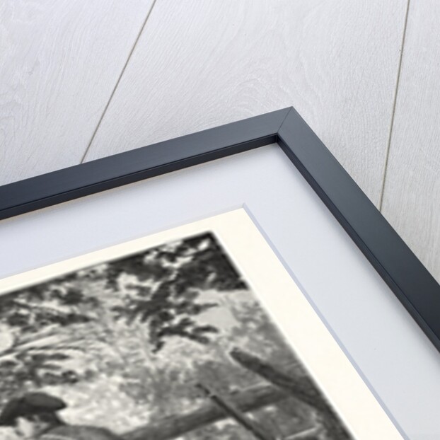 Capture of Andre, Horse, Horse Riding by Anonymous