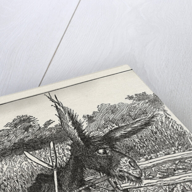 Hungry Democracy the Greatest Faster Record by Anonymous