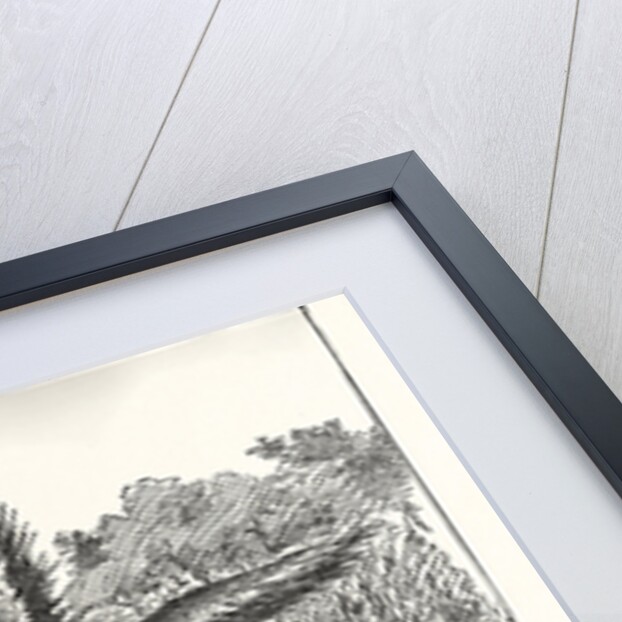 Hungry Democracy the Greatest Faster Record by Anonymous