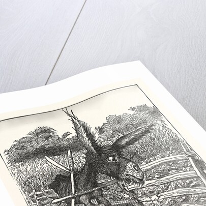 Hungry Democracy the Greatest Faster Record by Anonymous