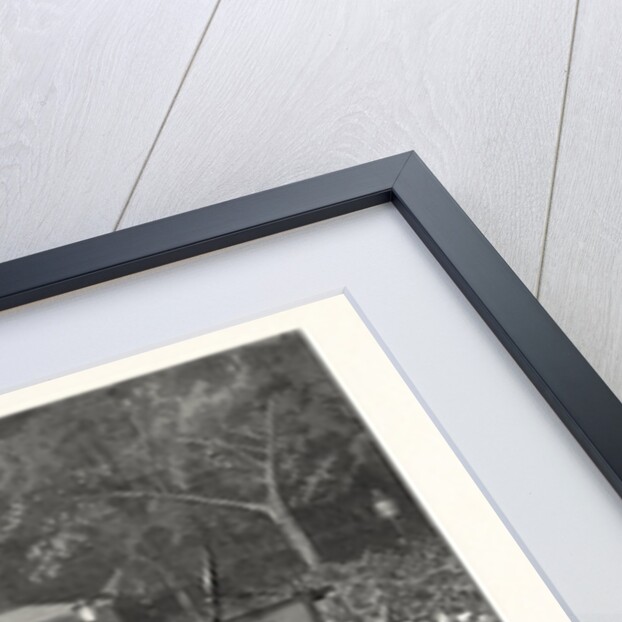 Republican Enthusiasm in New York, the Grand Procession October 11 by Anonymous