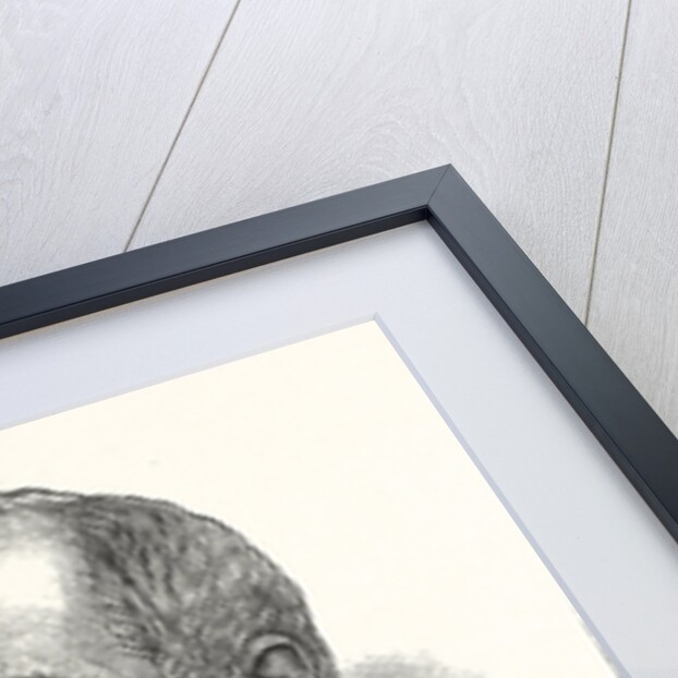 William Dowd for Mayor of New York by Anonymous