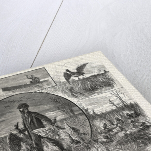 Cruelties Practised on Fish and Fowl by Anonymous